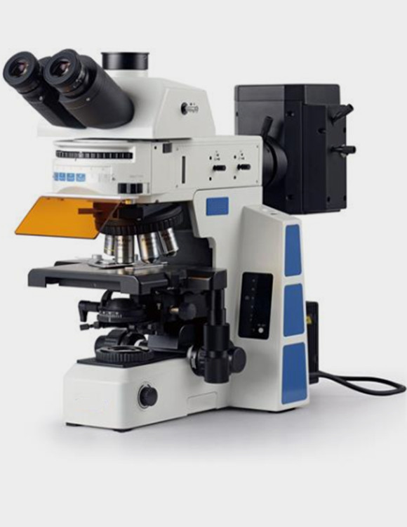 WMF-3590研究型荧光显微镜